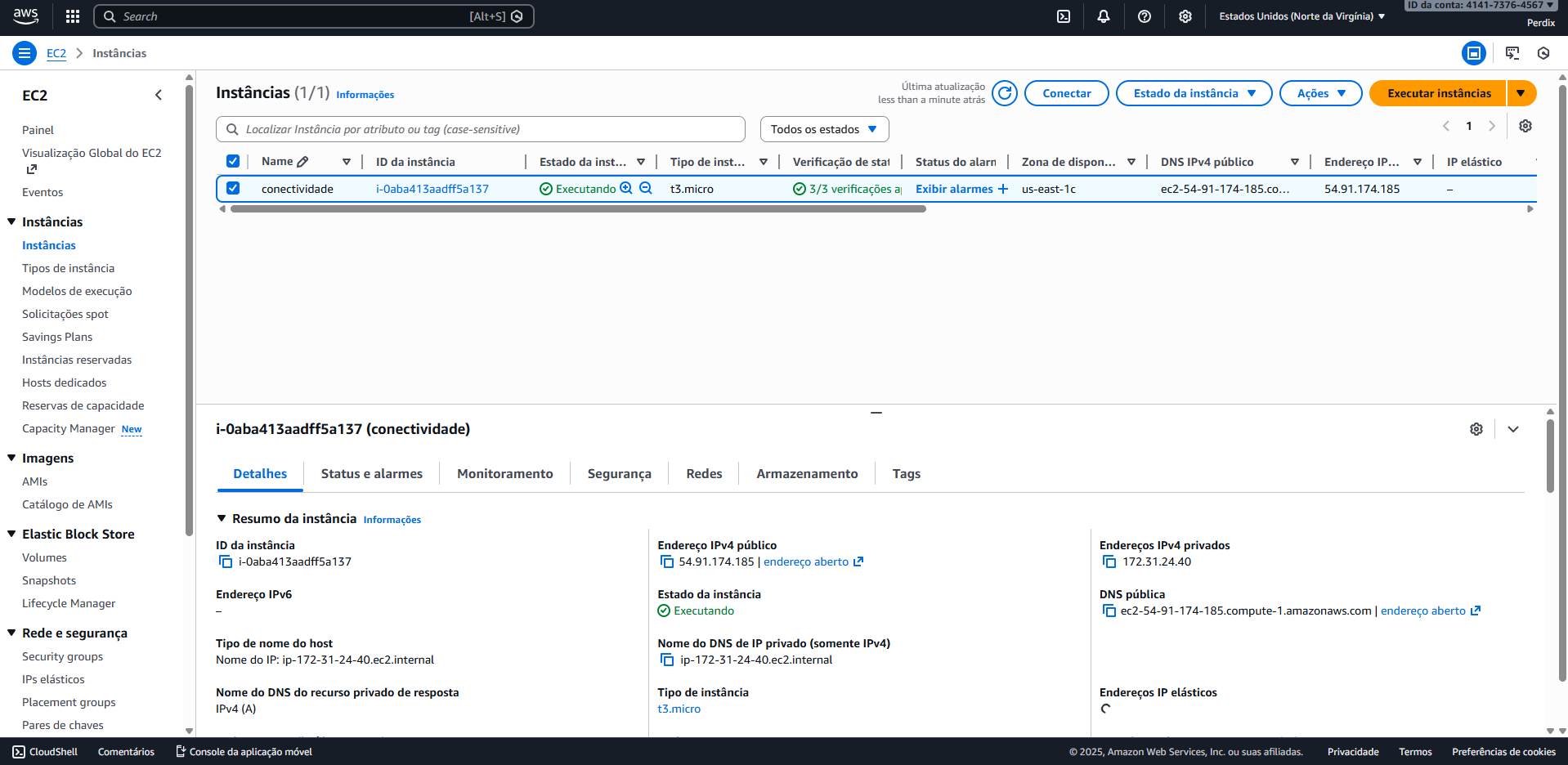Troubleshooting de Conectividade usando o EC2 Serial Console