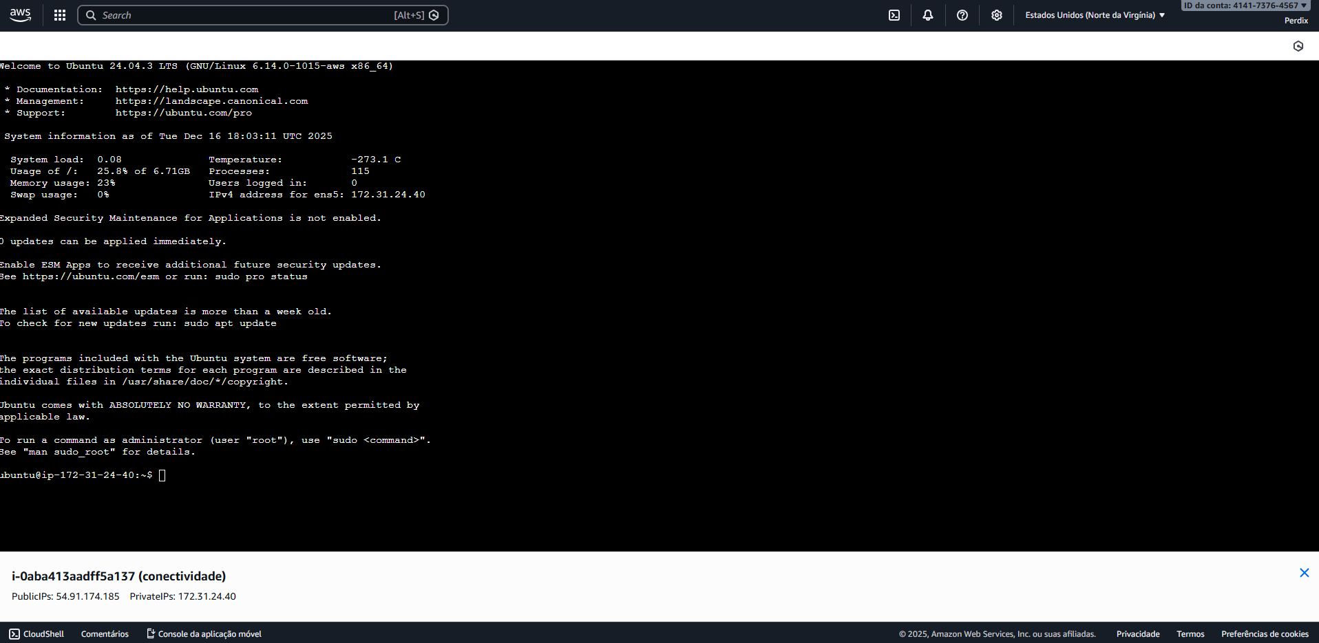 Troubleshooting de Conectividade usando o EC2 Serial Console